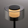 Lámparas Paul Neuhaus Rika Lámparas de mesa LED Negro, 1 luz