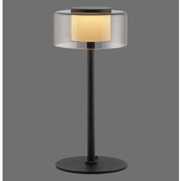 Lámparas Paul Neuhaus Rika Lámparas de mesa LED Negro, 1 luz