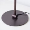 Lámparas Paul Neuhaus Zula Lámparas de mesa LED Negro, 1 luz