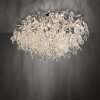 Lámparas Paul Neuhaus Ricicle Plafones LED Plata, 10 luces