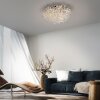 Lámparas Paul Neuhaus Ricicle Plafones LED Plata, 10 luces