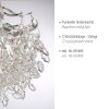Lámparas Paul Neuhaus Ricicle Plafones LED Plata, 10 luces