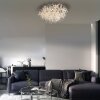 Lámparas Paul Neuhaus Ricicle Plafones LED Plata, 10 luces