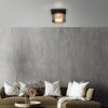 Lámparas Paul Neuhaus Rika Plafones LED Negro, 1 luz