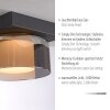 Lámparas Paul Neuhaus Rika Plafones LED Negro, 1 luz