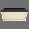 Lámparas Paul Neuhaus Q-Magong Plafones LED Negro, 1 luz, Mando a distancia