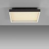 Lámparas Paul Neuhaus Q-Magong Plafones LED Negro, 1 luz, Mando a distancia