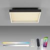 Paul Neuhaus Q-Serie Q-Magong Plafones LED Negro, 1 luz, Mando a distancia