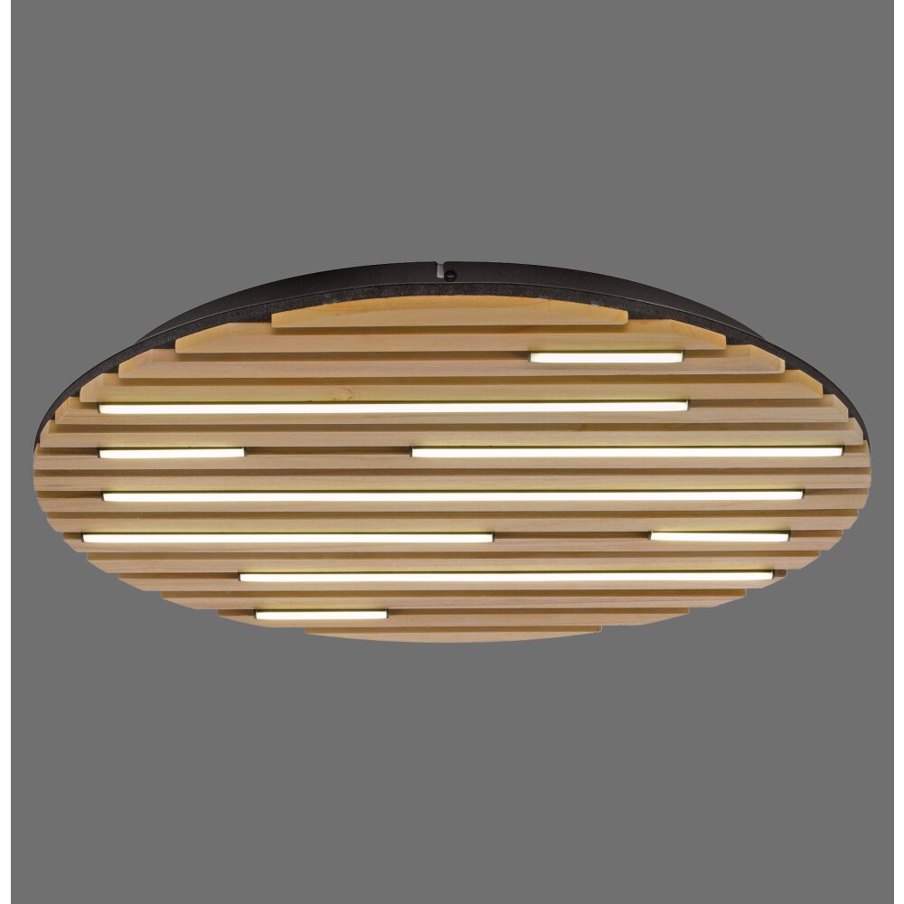 Lámparas Paul Neuhaus Q-Akustik Plafones y apliques / Lámparas de techo y pared LED Marrón, Negro, 1 luz, Mando a distancia main product photo