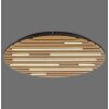 Lámparas Paul Neuhaus Q-Akustik Plafones y apliques / Lámparas de techo y pared LED Marrón, Negro, 1 luz, Mando a distancia