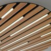 Lámparas Paul Neuhaus Q-Akustik Plafones y apliques / Lámparas de techo y pared LED Marrón, Negro, 1 luz, Mando a distancia