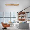 Lámparas Paul Neuhaus Q-Akustik Plafones y apliques / Lámparas de techo y pared LED Marrón, Negro, 1 luz, Mando a distancia