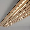 Lámparas Paul Neuhaus Q-Akustik Plafones y apliques / Lámparas de techo y pared LED Marrón, Negro, 1 luz, Mando a distancia
