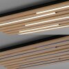 Lámparas Paul Neuhaus Q-Akustik Plafones y apliques / Lámparas de techo y pared LED Marrón, Negro, 1 luz, Mando a distancia