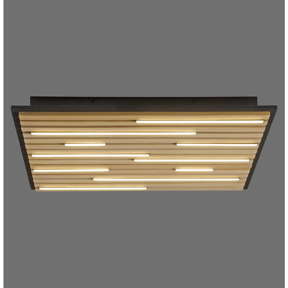 Lámparas Paul Neuhaus Q-Akustik Plafones y apliques / Lámparas de techo y pared LED Marrón, Negro, 1 luz, Mando a distancia main product photo