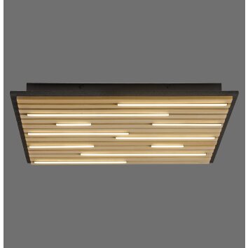 Paul Neuhaus Q-Serie Q-Akustik Plafones y apliques / Lámparas de techo y pared LED Marrón, Negro, 1 luz, Mando a distancia