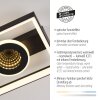 Lámparas Paul Neuhaus Traforo Plafones LED Negro, 1 luz, Mando a distancia