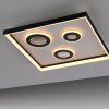 Lámparas Paul Neuhaus Dune Plafones LED Negro, 1 luz, Mando a distancia
