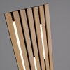 Paul Neuhaus Q-Serie Q-Akustik Lámpara de pie LED Marrón, Negro, 1 luz, Mando a distancia