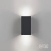 Lámparas Paul Neuhaus Block Apliques LED Antracita, 2 luces