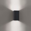 Lámparas Paul Neuhaus Block Apliques LED Antracita, 2 luces