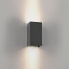 Lámparas Paul Neuhaus Block Apliques LED Antracita, 2 luces