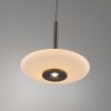Lámparas Paul Neuhaus Vitrum Lámparas colgantes LED Marrón, 6 luces