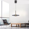 Lámparas Paul Neuhaus E-Vitrum Lámparas colgantes LED Gris, 2 luces, Mando a distancia