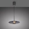 Lámparas Paul Neuhaus E-Vitrum Lámparas colgantes LED Gris, 2 luces, Mando a distancia