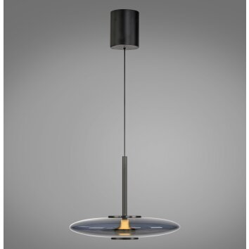 Lámparas Paul Neuhaus E-Vitrum Lámparas colgantes LED Gris, 2 luces, Mando a distancia