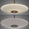 Lámparas Paul Neuhaus E-Vitrum Lámparas colgantes LED Marrón, 2 luces, Mando a distancia