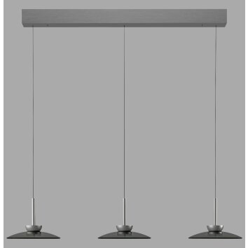Lámparas Paul Neuhaus Moon Lámparas colgantes LED Gris, 6 luces