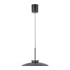 Lámparas Paul Neuhaus E-Moon Lámparas colgantes LED Gris, 2 luces, Mando a distancia