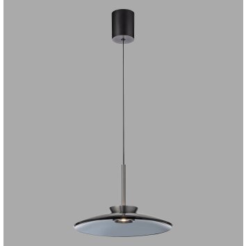 Lámparas Paul Neuhaus E-Moon Lámparas colgantes LED Gris, 2 luces, Mando a distancia
