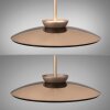 Lámparas Paul Neuhaus E-Moon Lámparas colgantes LED Bronce, 2 luces, Mando a distancia