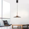 Lámparas Paul Neuhaus E-Moon Lámparas colgantes LED Bronce, 2 luces, Mando a distancia