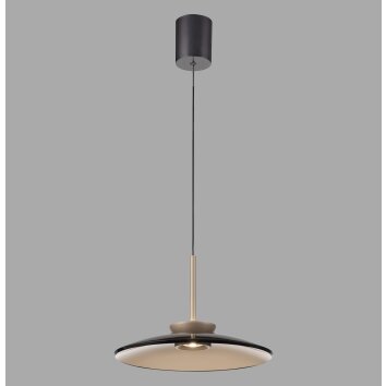 Lámparas Paul Neuhaus E-Moon Lámparas colgantes LED Bronce, 2 luces, Mando a distancia