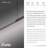 Lámparas Paul Neuhaus Surface Lámparas colgantes LED Gris, 1 luz