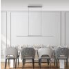 Lámparas Paul Neuhaus Surface Lámparas colgantes LED Gris, 1 luz
