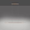 Lámparas Paul Neuhaus Surface Lámparas colgantes LED Bronce, 1 luz