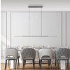 Lámparas Paul Neuhaus Surface Lámparas colgantes LED Gris, 1 luz