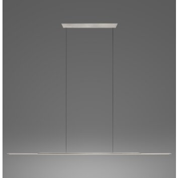 Lámparas Paul Neuhaus Surface Lámparas colgantes LED Gris, 1 luz
