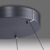 Lámparas Paul Neuhaus E-Loop Lámparas colgantes LED Gris, 2 luces, Mando a distancia