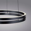 Lámparas Paul Neuhaus E-Loop Lámparas colgantes LED Gris, 2 luces, Mando a distancia