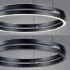 Lámparas Paul Neuhaus E-Loop Lámparas colgantes LED Gris, 2 luces, Mando a distancia