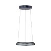 Lámparas Paul Neuhaus E-Loop Lámparas colgantes LED Gris, 2 luces, Mando a distancia