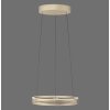 Lámparas Paul Neuhaus E-Loop Lámparas colgantes LED Latón, 2 luces, Mando a distancia