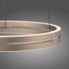 Lámparas Paul Neuhaus E-Loop Lámparas colgantes LED Latón, 2 luces, Mando a distancia