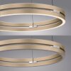 Lámparas Paul Neuhaus E-Loop Lámparas colgantes LED Latón, 2 luces, Mando a distancia
