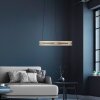 Lámparas Paul Neuhaus E-Loop Lámparas colgantes LED Latón, 2 luces, Mando a distancia